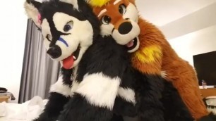 Taiky X Johnny-Huskey MFF'2019