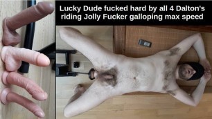 Lucky Dude Fucked by all 4 Dalton's Riding Jolly Fucker Galloping Max Speed